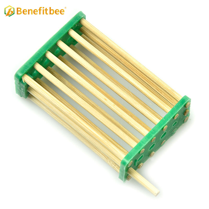 Jaula de abejas de bambú Jaula de reina de madera para apicultor