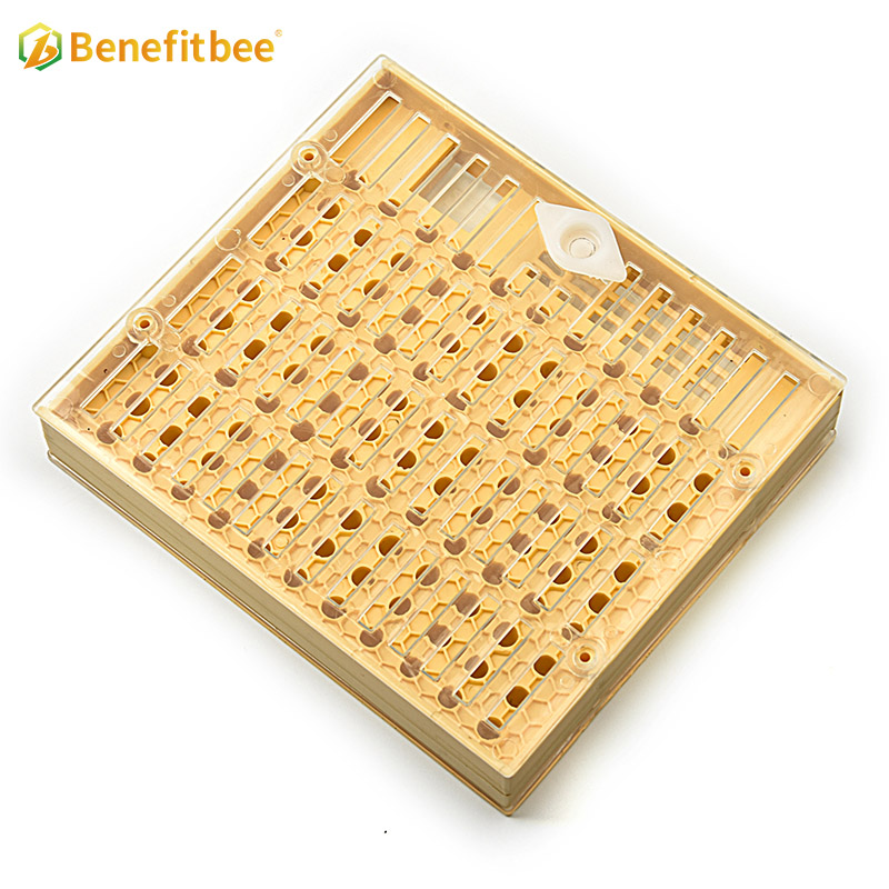 Equipo de apicultura de alta calidad, caja de cría de Reina marrón de plástico 110 para apicultura Reaing QB04