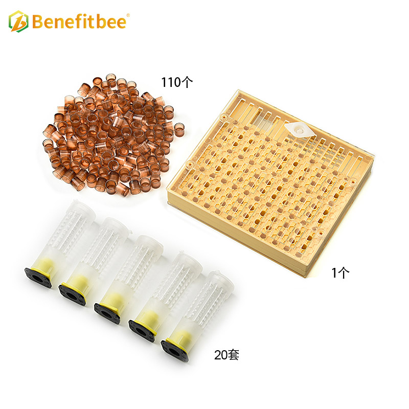Equipo de apicultura de alta calidad, caja de cría de Reina marrón de plástico 110 para apicultura Reaing QB04