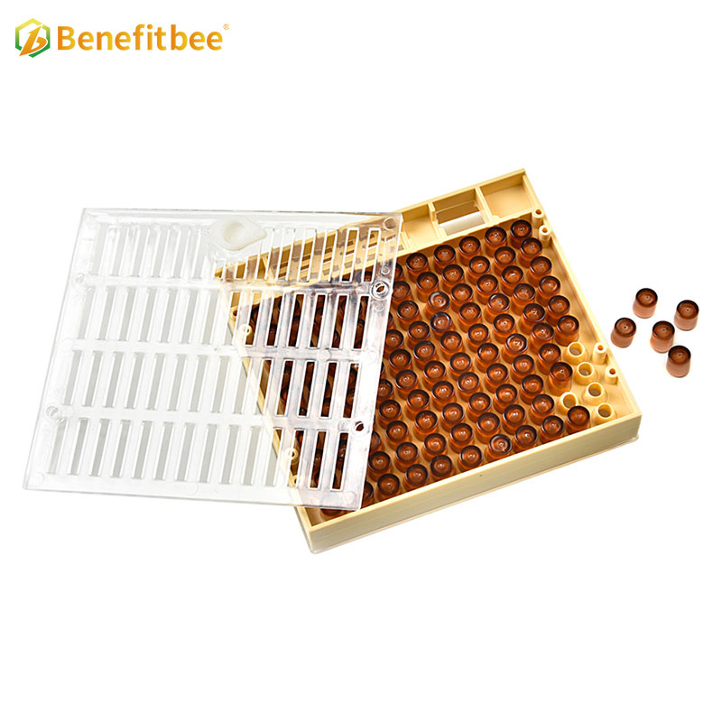 Équipement apicole de haute qualité en plastique 110 boîte d'élevage de reine brune pour l'apiculture Reaing QB04