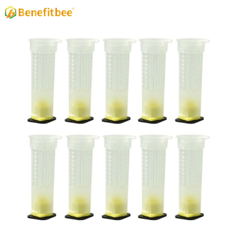 High Quality Beekeeping Equtiment Plastic 110 Brown Queen Rearing Box For Beekeeping Reaing QB04