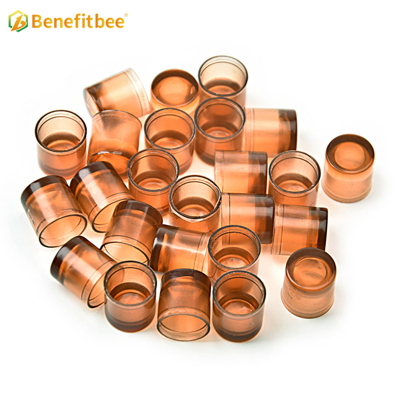 High Quality Beekeeping Equtiment Plastic 110 Brown Queen Rearing Box For Beekeeping Reaing QB04