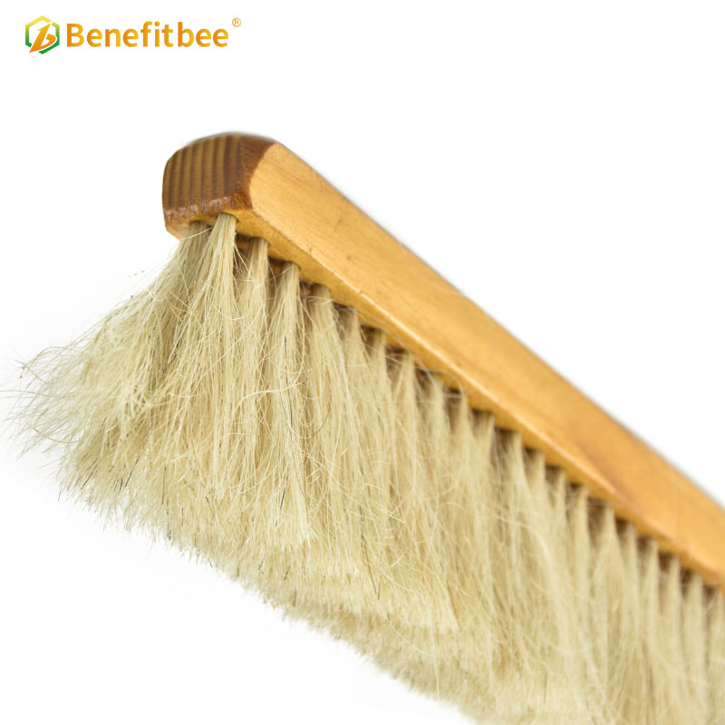 Four rows horsehair Wooden Handle Bee Brushes For Beekeeping Tools