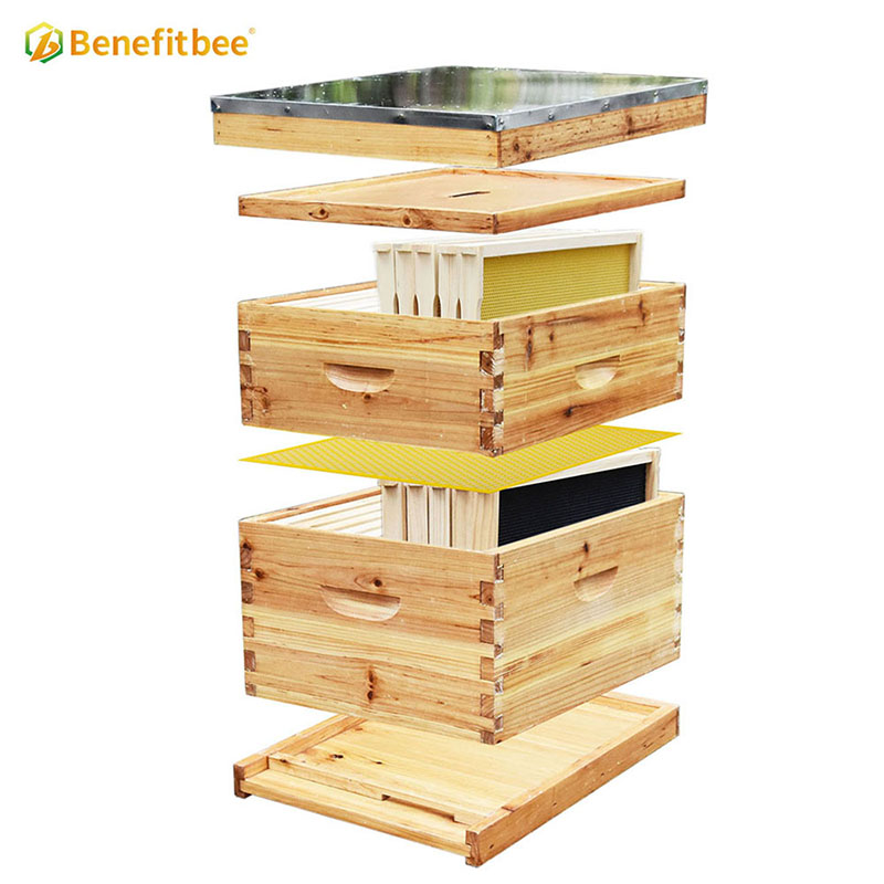 Colmenas de abejas al por mayor, colmena langstroth de madera con marco