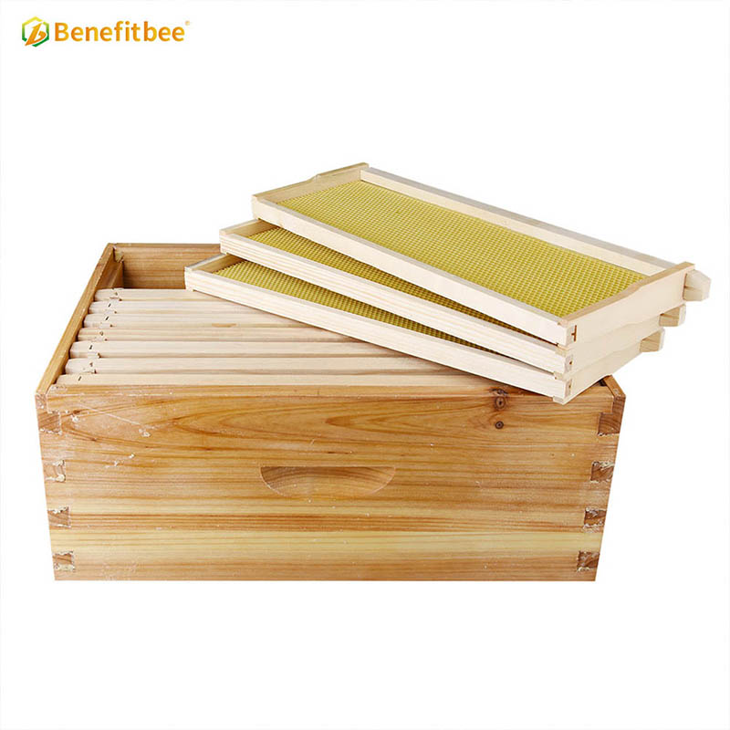 Langstroth beehive kit bee hives complete beekeeping bee hive kit with 10 frames