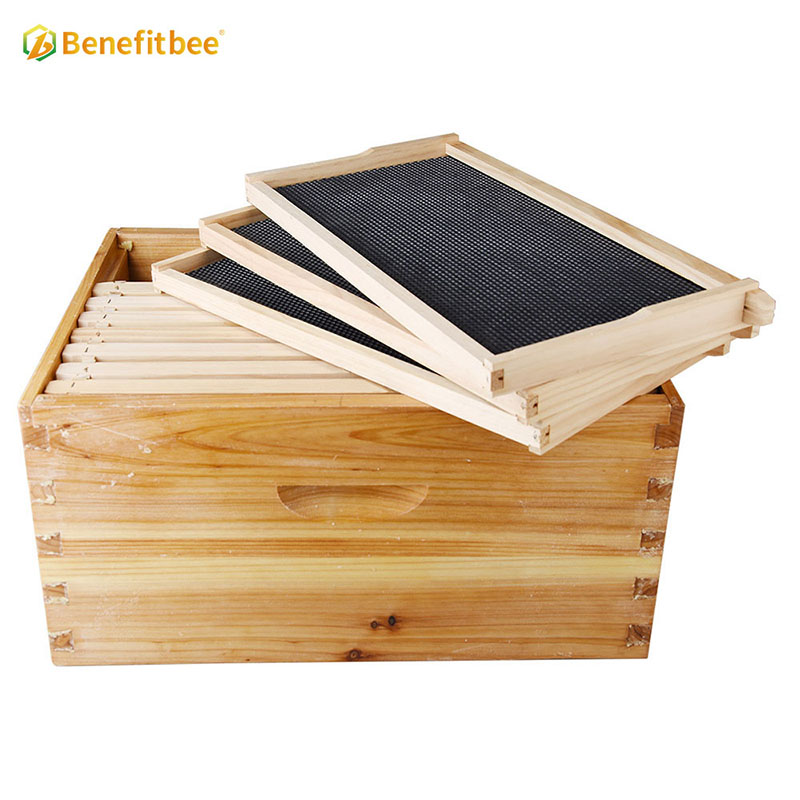 Wholesale bee hives beekeeping wooden langstroth beehive with frame