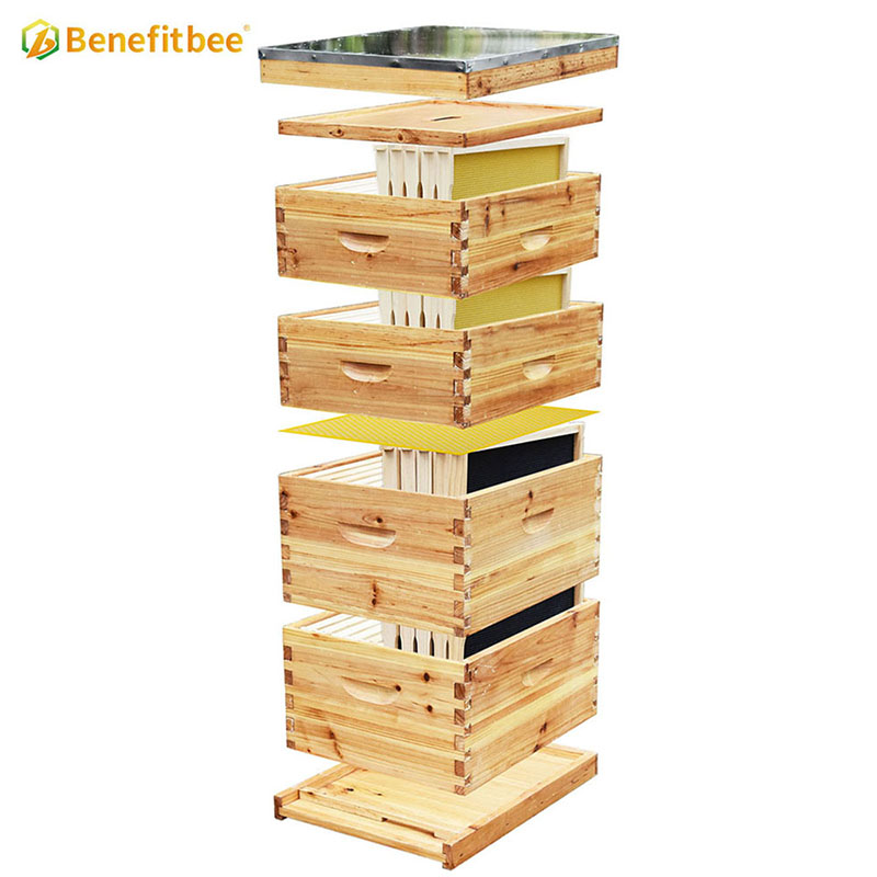 Langstroth beehive kit bee hives complete beekeeping bee hive kit with 10 frames
