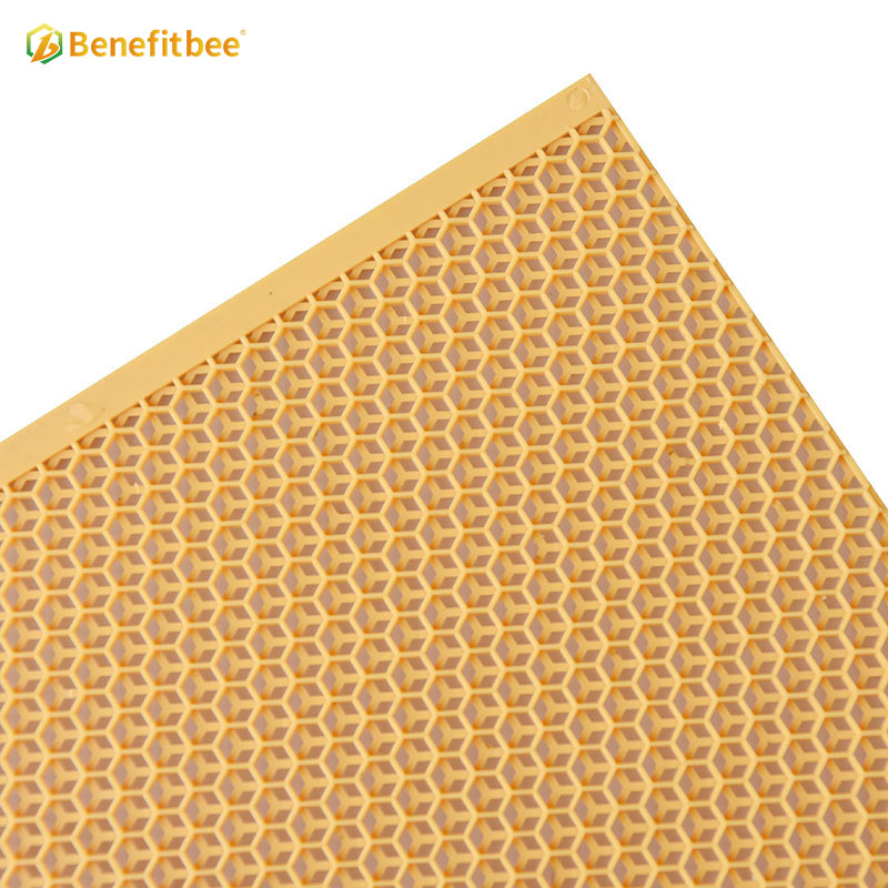 Beekeeping bee factory supply bee plastic foundation sheet plastic comb foundation