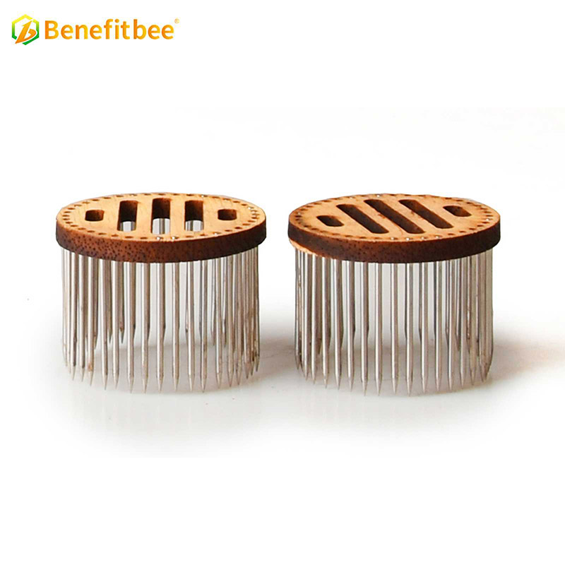 Beekeeping bee queen rearing catch trap catcher