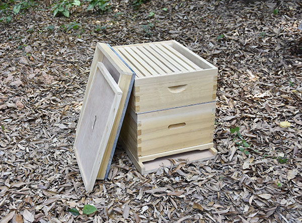 two layers beehives