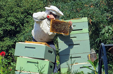 What are the benefits of two layers beehives