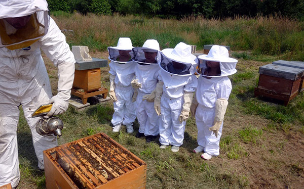 beekeepers suits