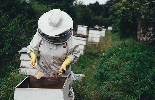 beekeepers suits