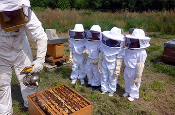 ¿Los trajes de apicultor son a prueba de picaduras?