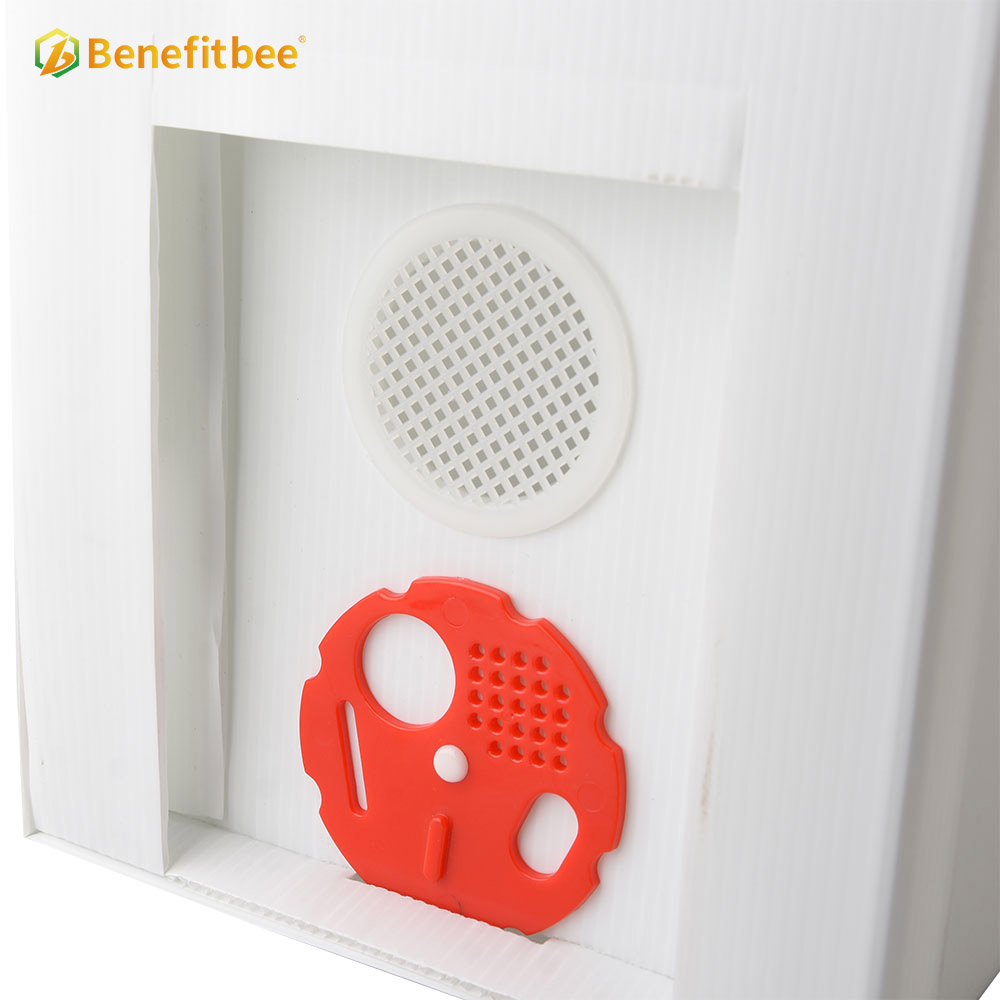 OEM factory beekeeping beehive nuc box plastic beehive box