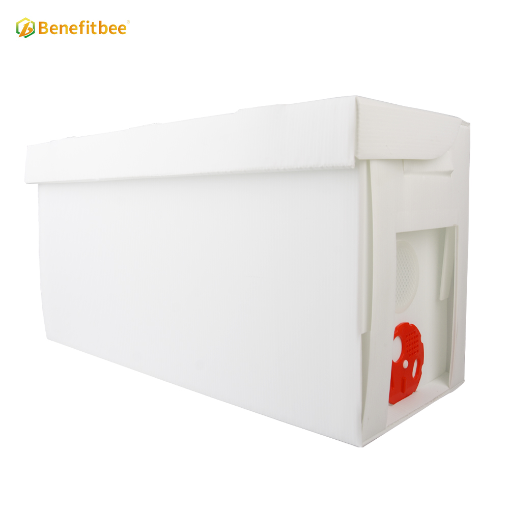 Caja plástica de la colmena de la caja nuc de la colmena de la apicultura de la fábrica del OEM