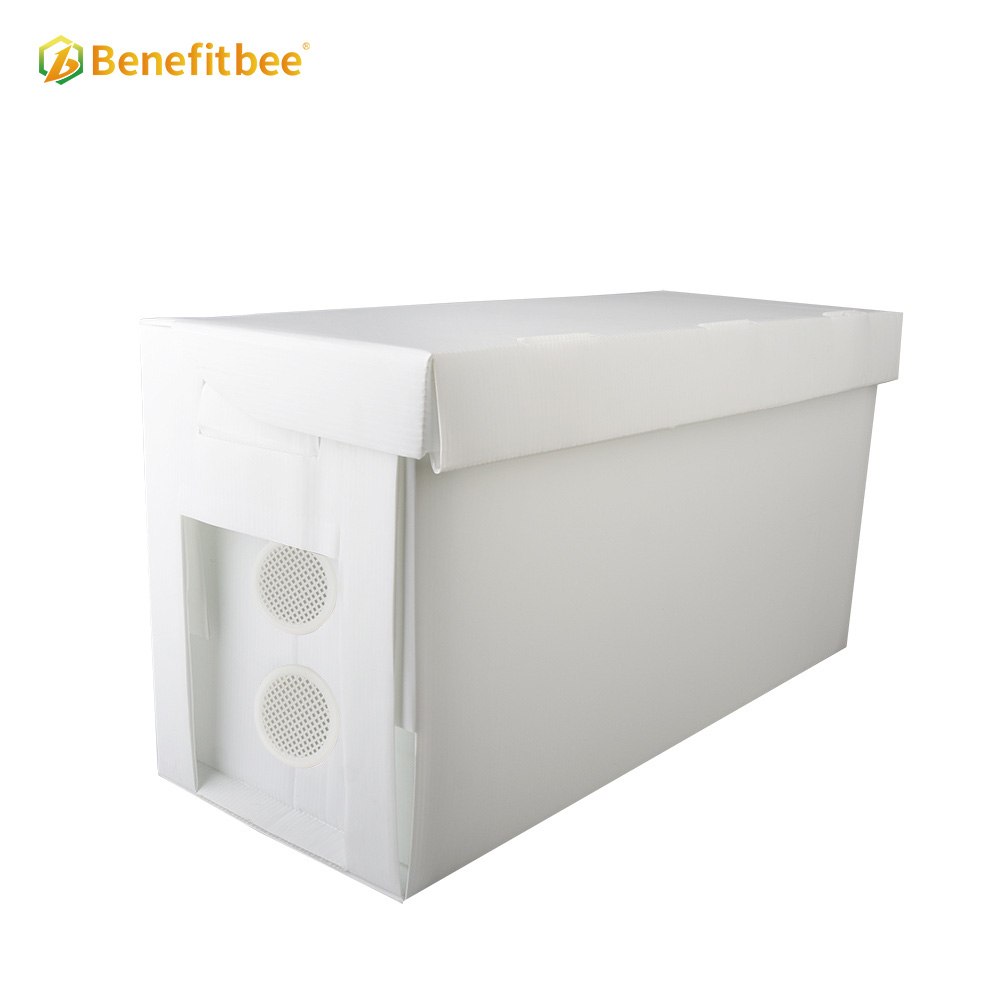 Caja plástica de la colmena de la caja nuc de la colmena de la apicultura de la fábrica del OEM