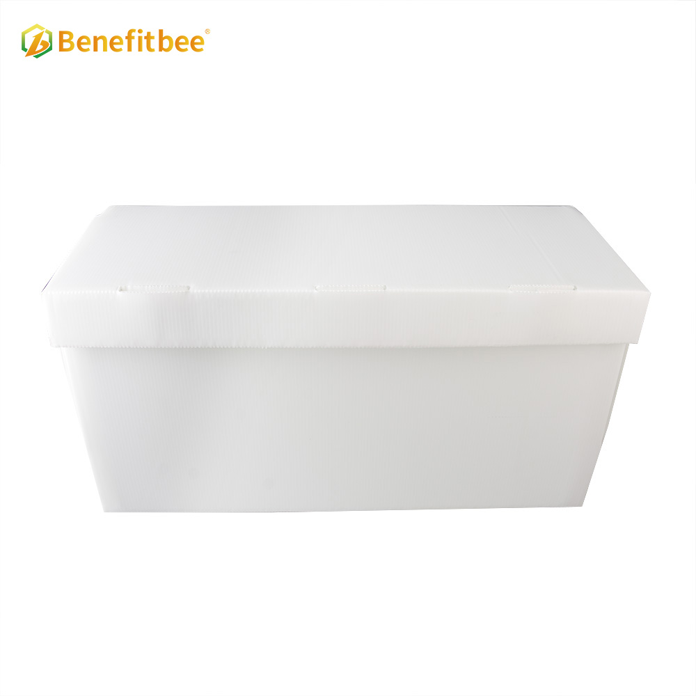 OEM factory beekeeping beehive nuc box plastic beehive box
