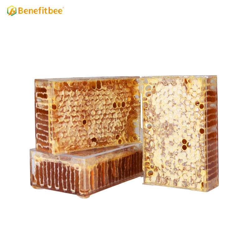Bee honey comb box honey cassette honeycomb box