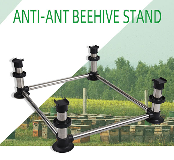 How to eliminate ants in beehives most thoroughly? 