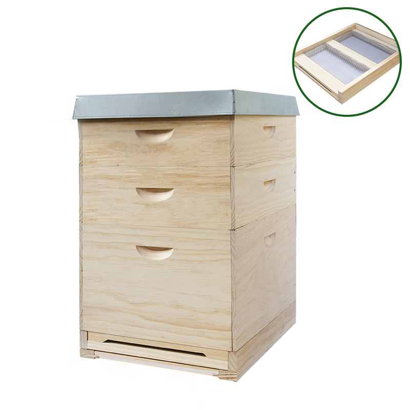 Factory supply beekeeping supplies dadant langstroth honey bee hive box wooden beehive