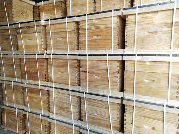 Wholesale Beehives