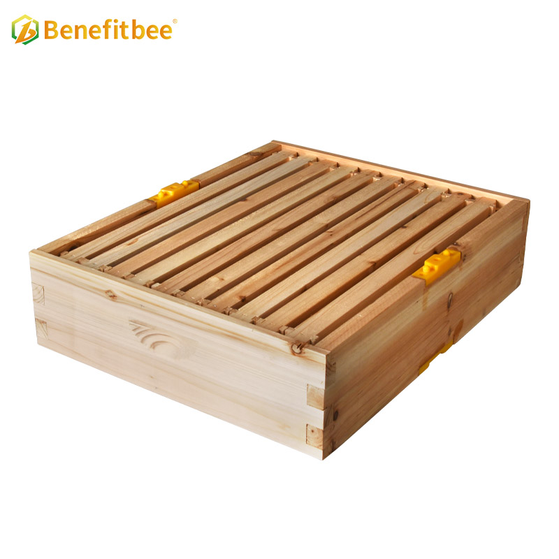 bee hive kit