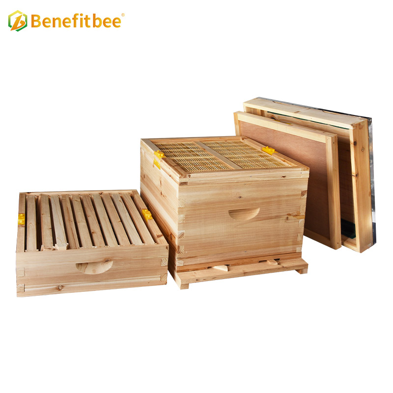 Wholesale beekeeping 10 frames Kenya set bee hive kit wooden beehive