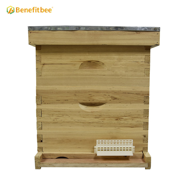 Puerta de colmena para apicultura Entrada de colmena multifunción