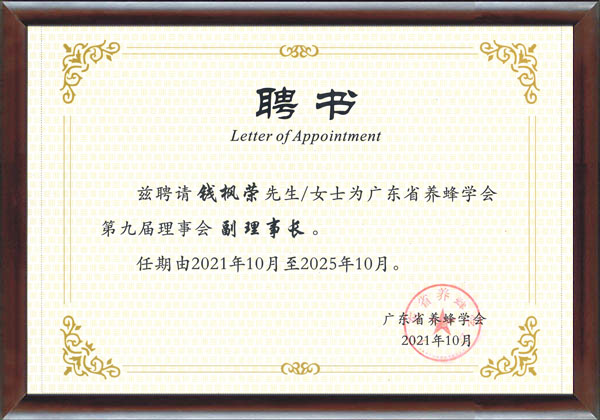 Letter of appointment
