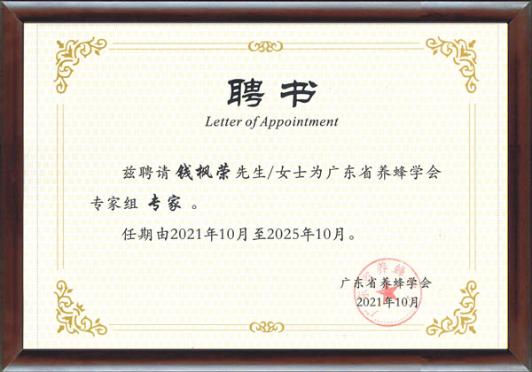 Letter of appointment 2