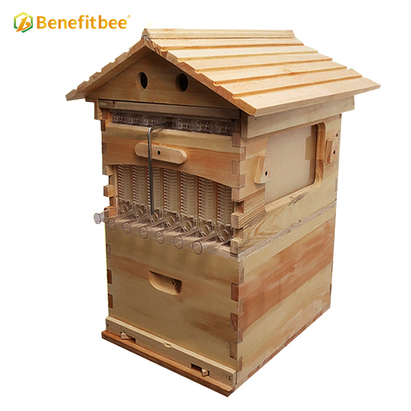 Auto Flows Bee Hives Boxes kit Beekeeping Wooden House with 7PCS Honey Flows Frame for Beekeeper