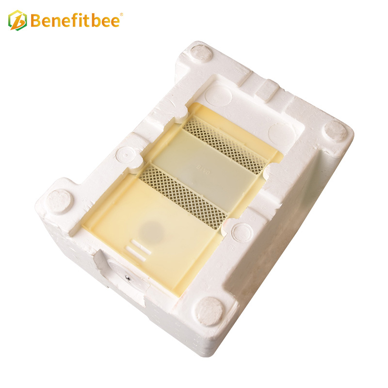 Caja de apareamiento de abeja reina de plástico mini caja de apareamiento