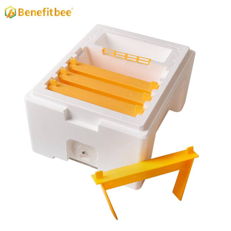 Plastic queen bee mating box mini mating box