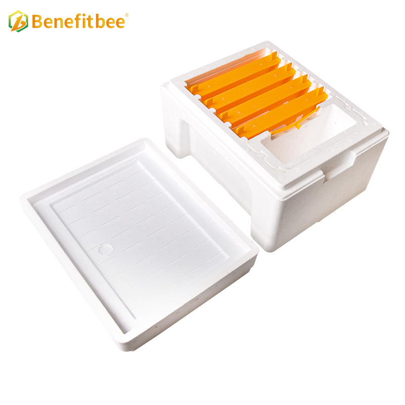 Plastic queen bee mating box mini mating box