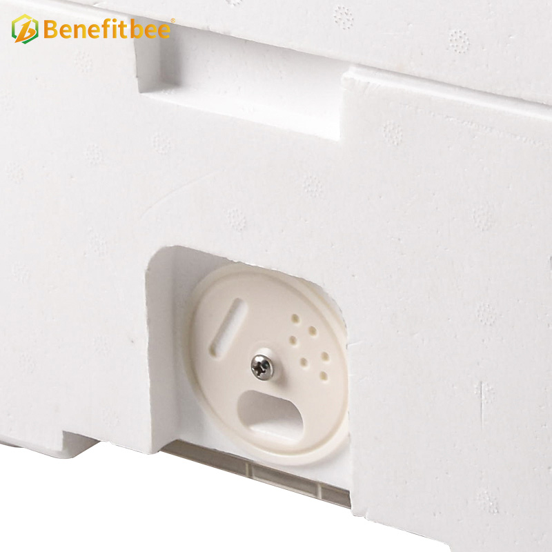 Plastic queen bee mating box mini mating box