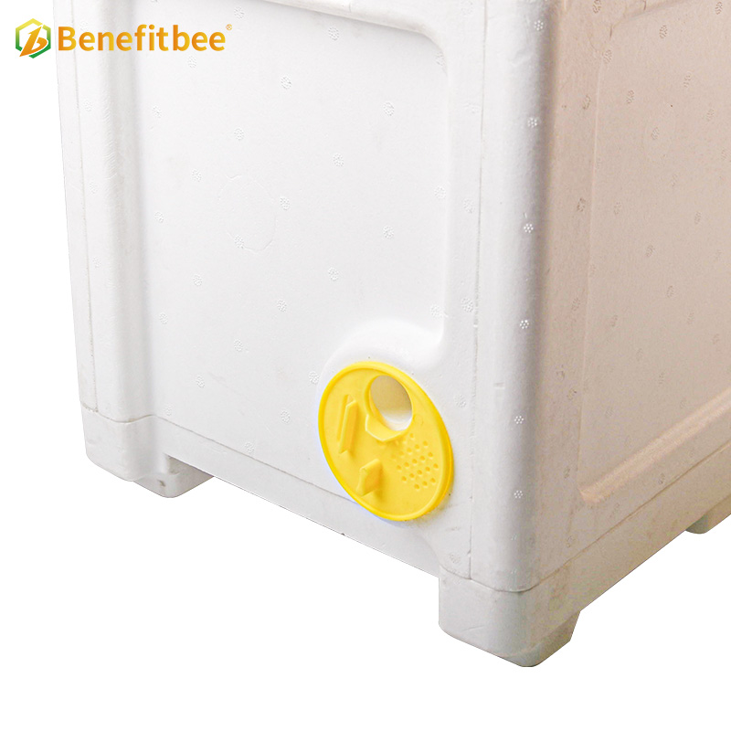 Bee Mating Nuc Hive Queen Bee Breeding Box High Density Foam Box Bee Hive Supplies Suitable for Queen Breeding