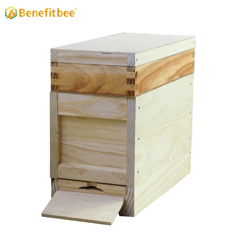 OEM factory apiculture tools mini bee hive queen bee beehive