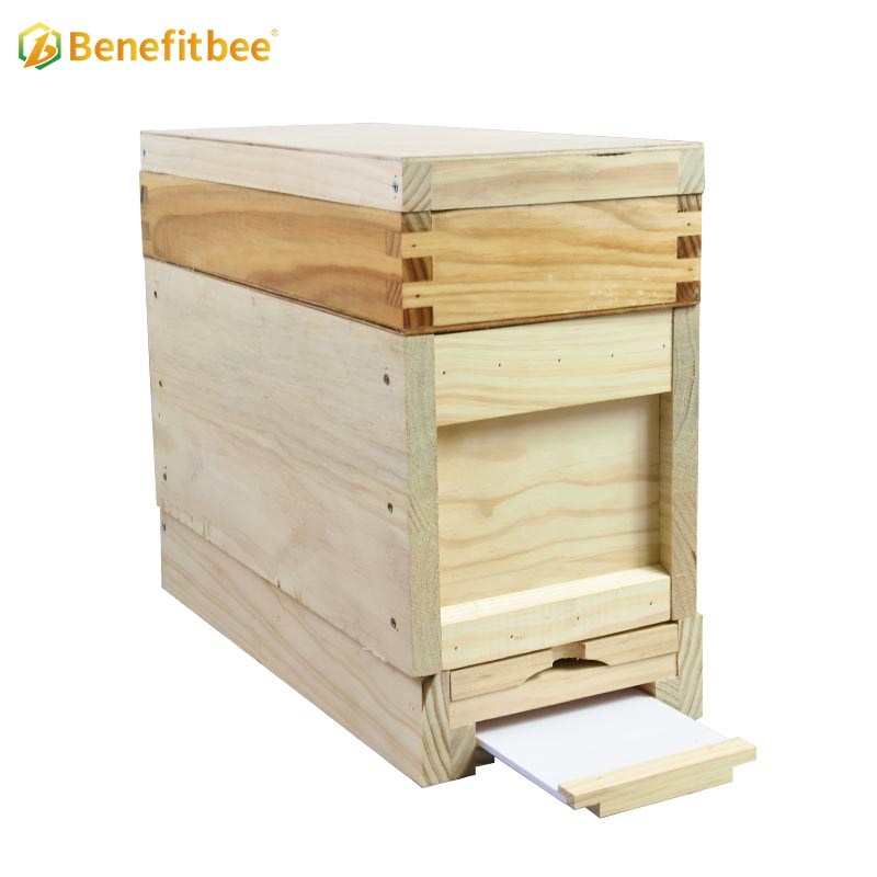 OEM factory apiculture tools mini bee hive queen bee beehive