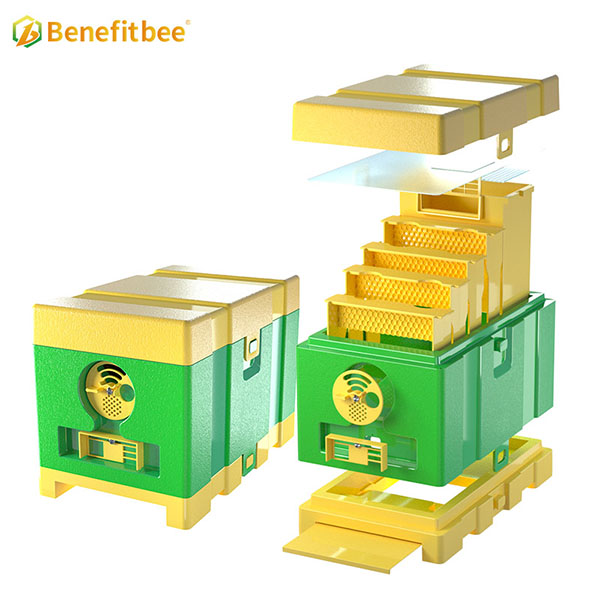 HDPE queen bee mating box