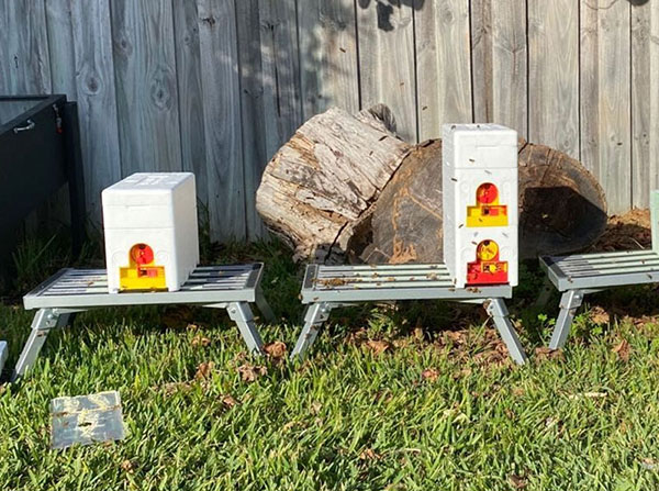bee hive box