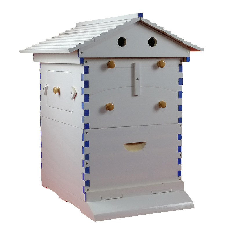 Marcos de flujo de miel para apicultura colmena de flujos automáticos colmena de abejas automática