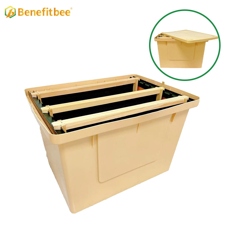 Equipo de apicultura, caja de almacenamiento con marco de miel y colmena