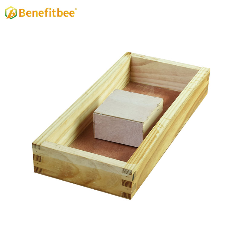 Beekeeping Beehive Tools Wooden Bee Feeder