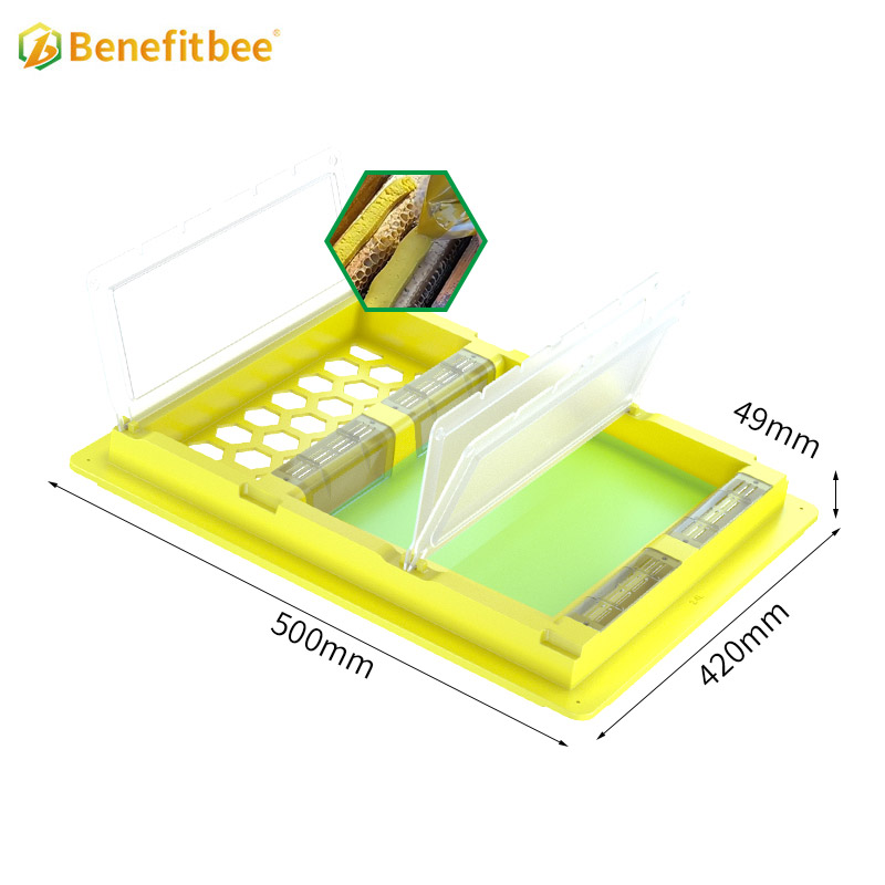Beekeeping Langstroth Beehive Wet and Dry Top Bee Feeder