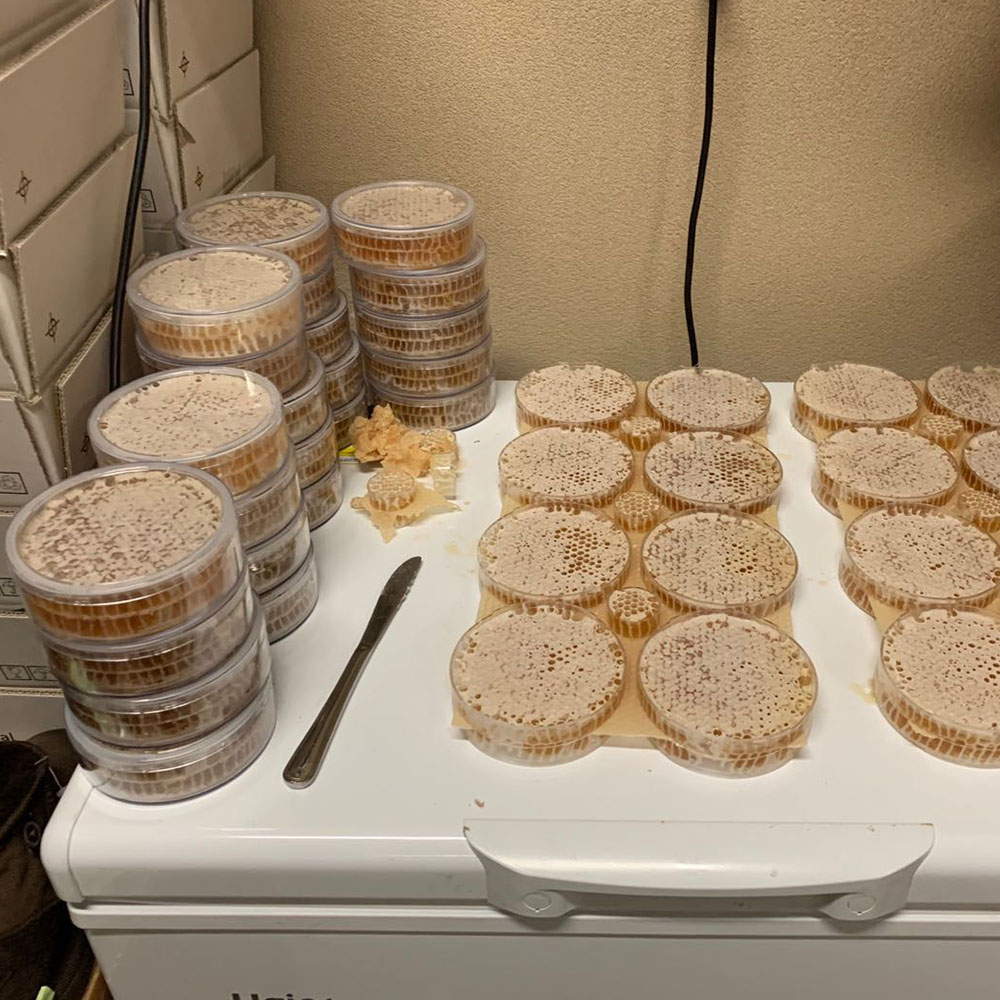 Beekeeping Tools Plastic Bee Frames Bee Comb Honey Frame