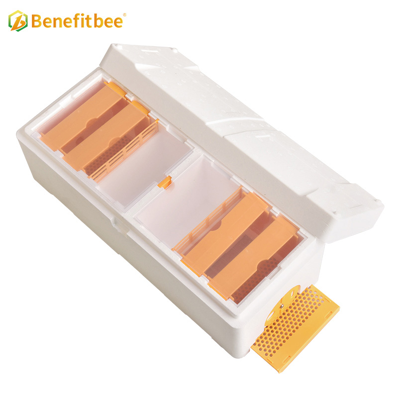 Beekeeping Equipment Mini Bee Mating Boxes Honey Queen Bee Hive