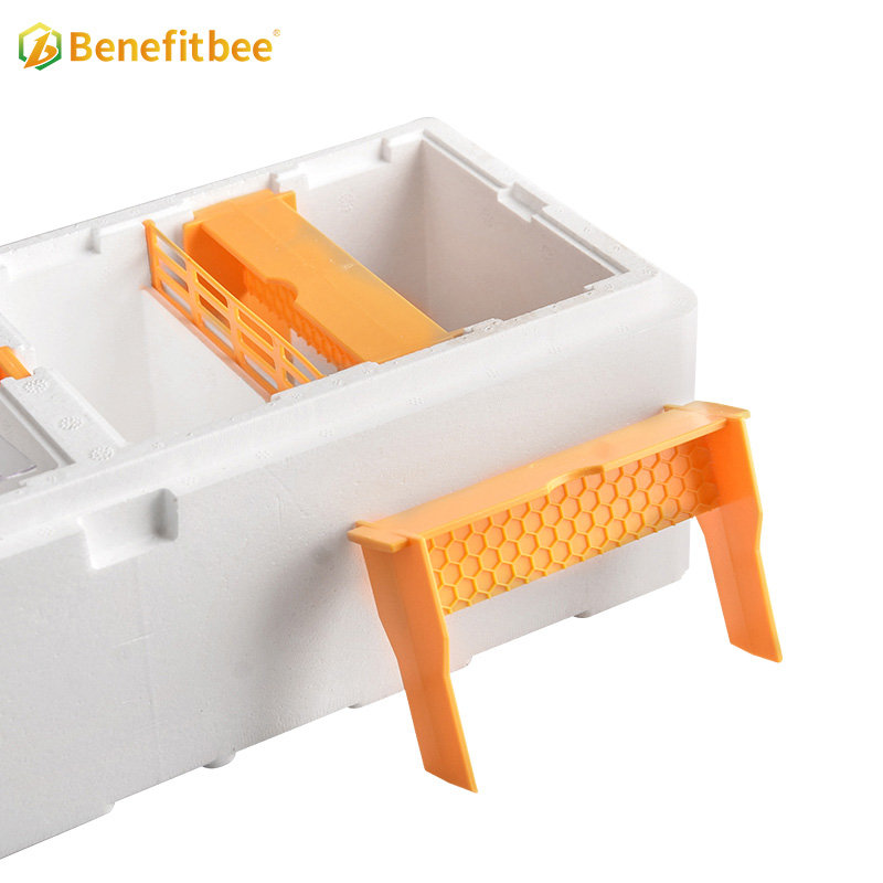 Beekeeping Equipment Mini Bee Mating Boxes Honey Queen Bee Hive