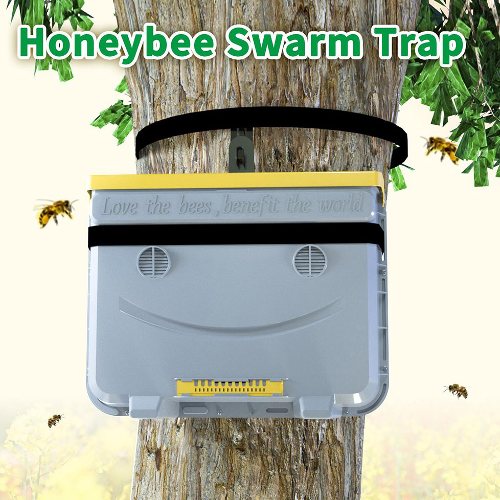 Beekeeping Swarm Control Swarm Trap Box Langstroth Bee Hive