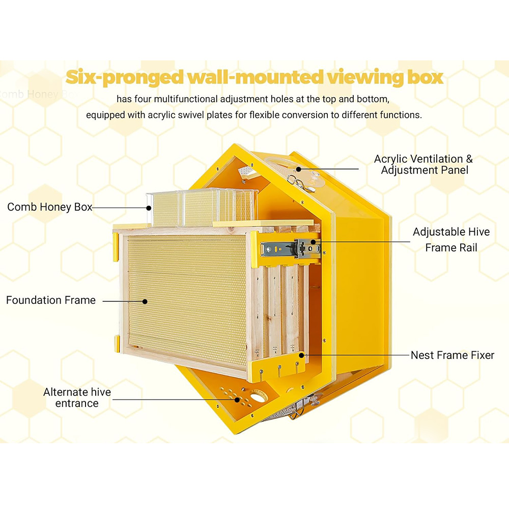 Beekeeping Observation Beehive Starter Kit Wall-Mounted Hexagon Bee Hive